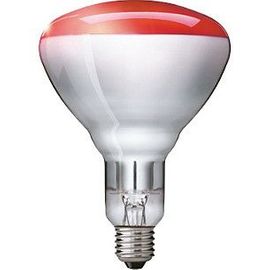 image-242797-led_lamp.jpg